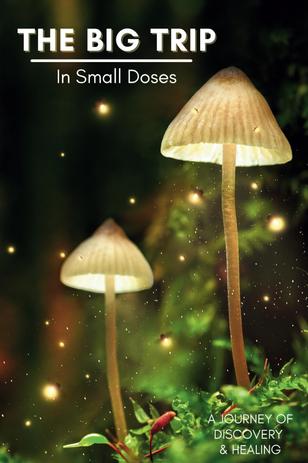 Microdosing Journal: With clear Prompts and Tracking Process to support your healing journey | The Big Trip in Small Doses | Mushroom Design (Psychedelic Microdosing Gifts) Medicine