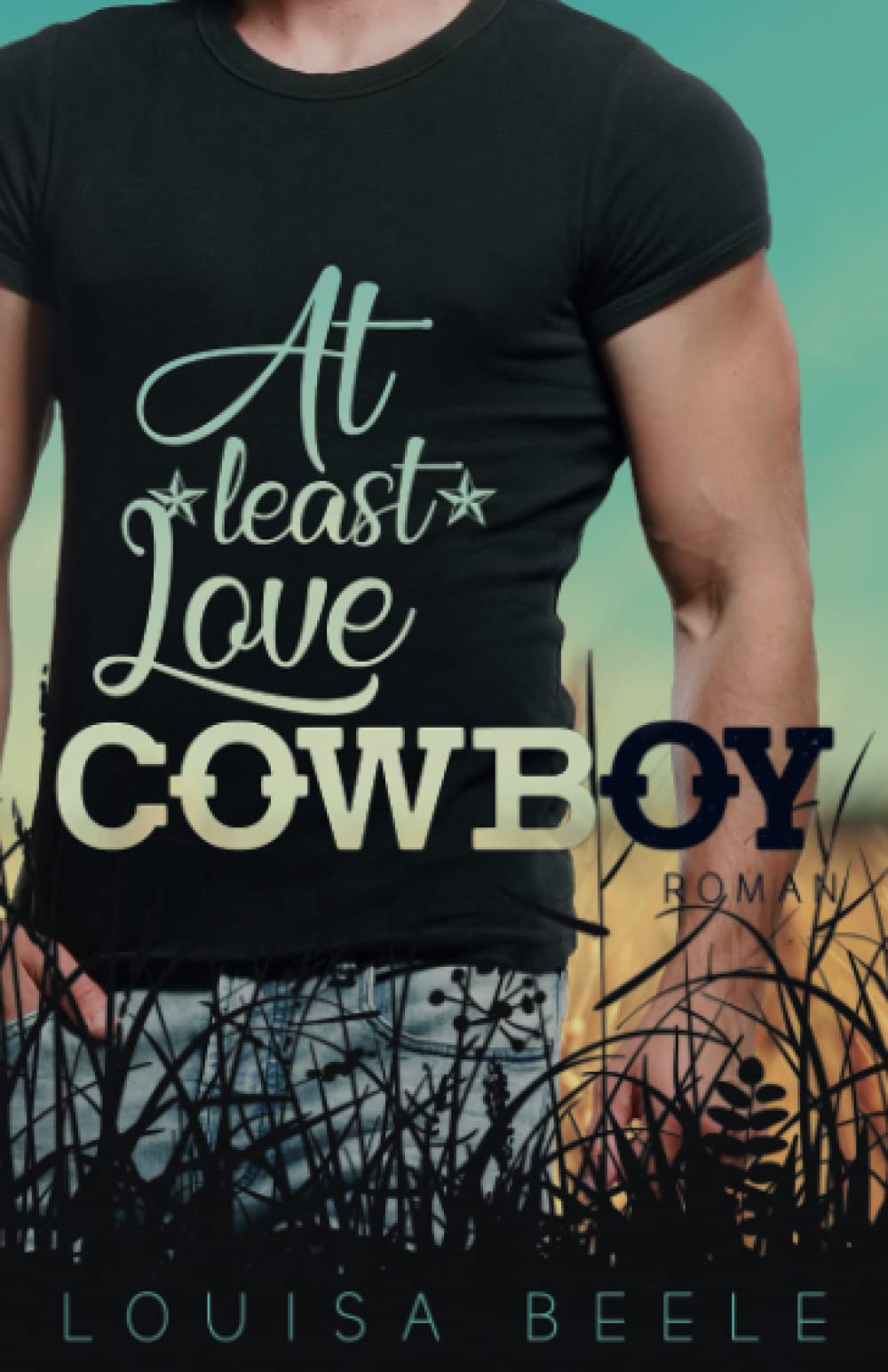 At least Love, Cowboy (Magnolia Springs, Band 4) Contemporary literature