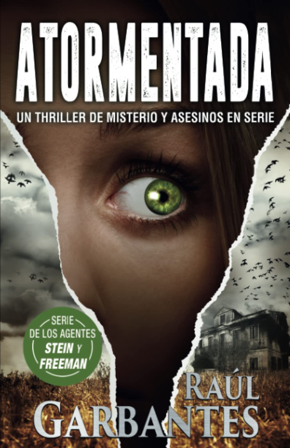 Atormentada: Un thriller de misterio y asesinos en serie (Agentes del FBI Julia Stein y Hans Freeman, Band 5) Suspense & Thrillers