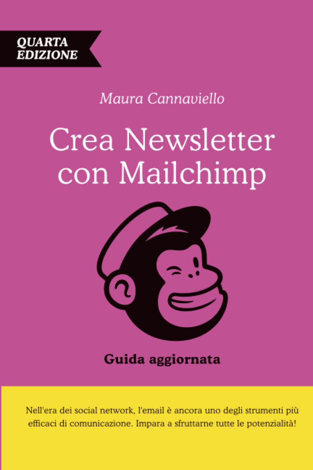 Crea Newsletter con Mailchimp: guida pratica e aggiornata - 4a edizione book