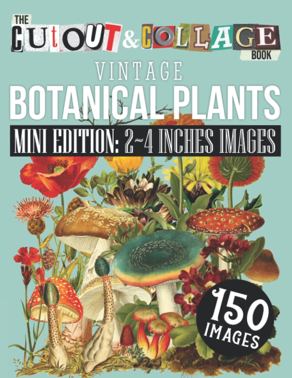 The Cut Out And Collage Book Vintage Botanical Plants Mini Edition: 2∼4 Inches Images: 150 High Quality Vintage Plants Illustrations For Collage and ... Artists (Cut and Collage Books: Mini Edition) Hobbies & Crafts