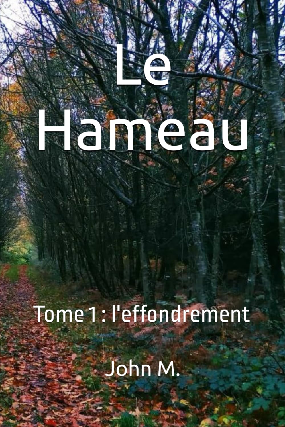 Le Hameau: Tome 1 : l'effondrement Dystopia & Post-Apocalypse
