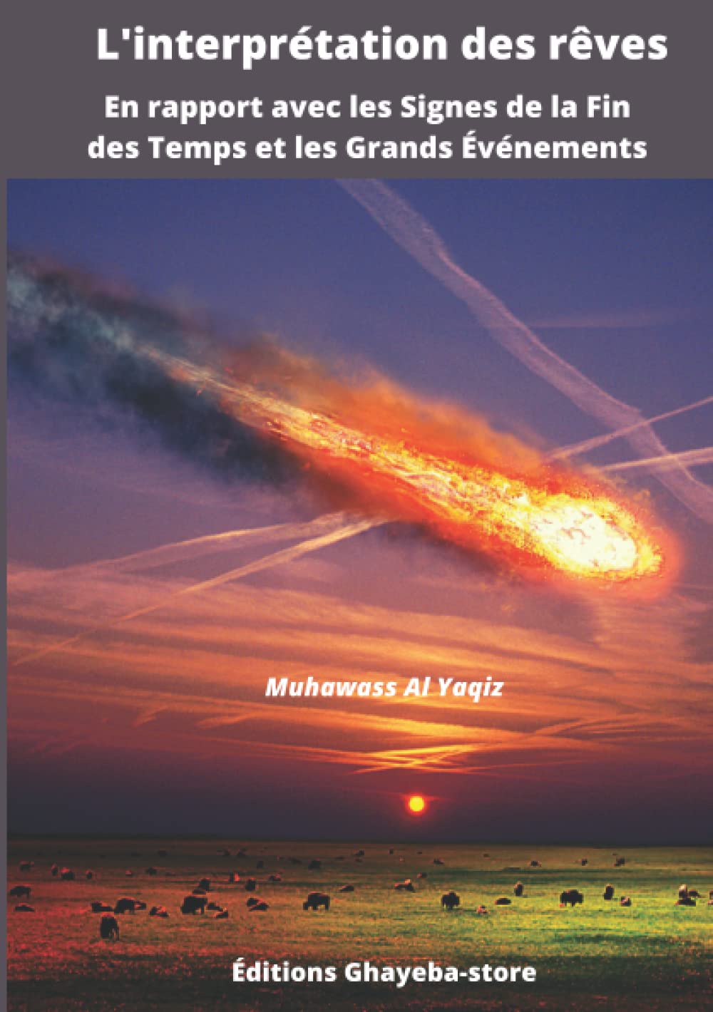 L'interprétation des rêves en rapport avec les Signes de la Fin des Temps et les Grands Événements Religion & Esotericism