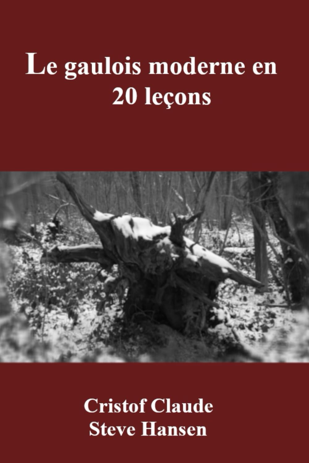 Le gaulois moderne en 20 leçons book