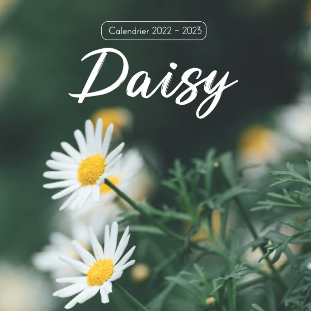 Daisy Calendrier: Calendrier 2022 2023 - 8.5''x8.5'' - Cadeaux pour la famille et les amis book