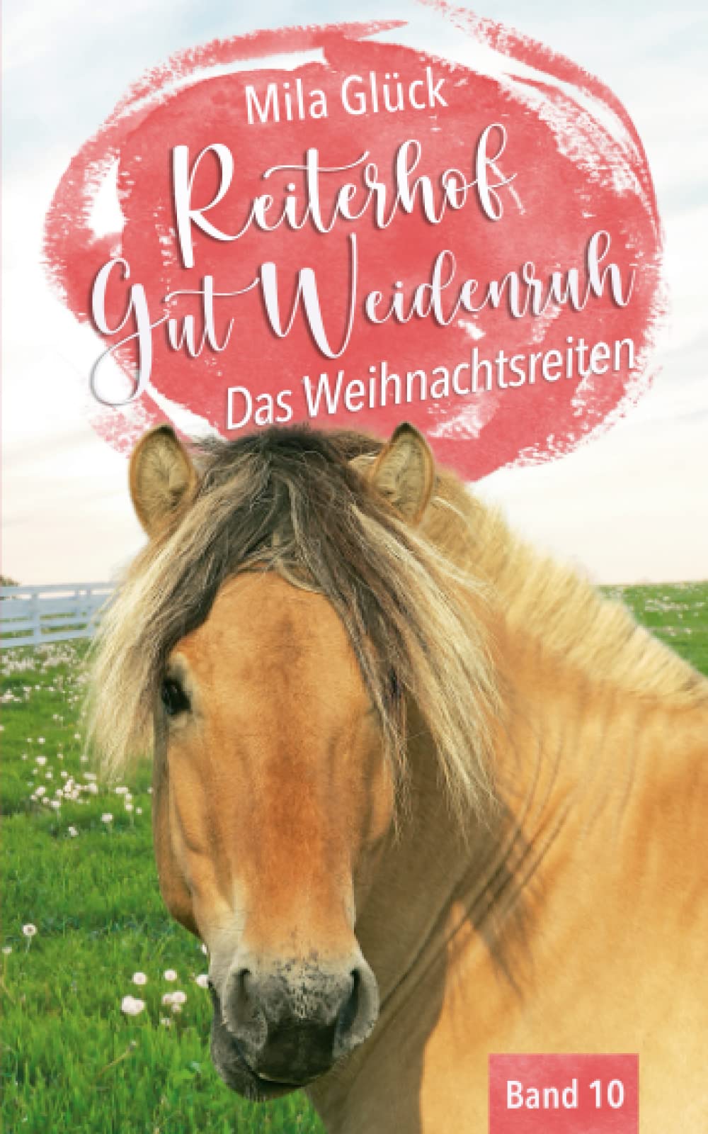 Reiterhof Gut Weidenruh: Das Weihnachtsreiten book