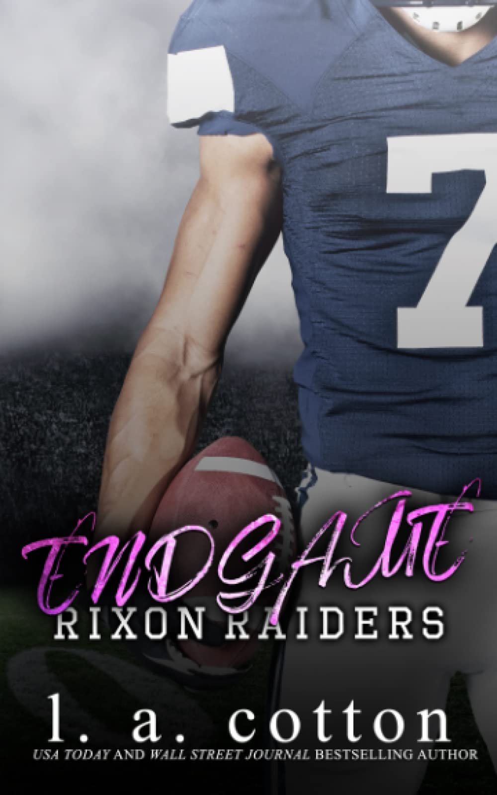 Rixon Raiders - ENDGAME (Die Rixon Raiders, Band 4) Contemporary literature