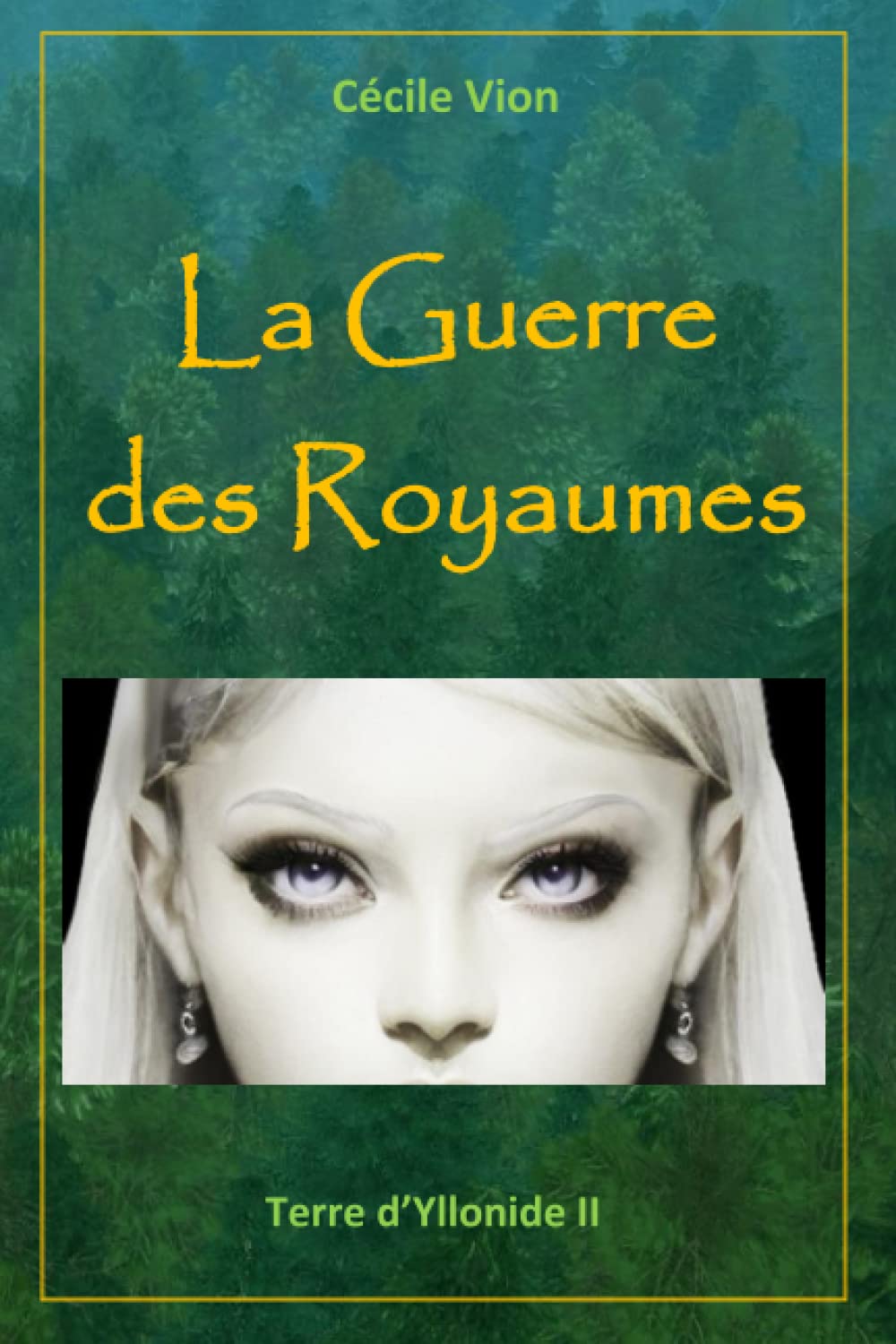 La Guerre des Royaumes book