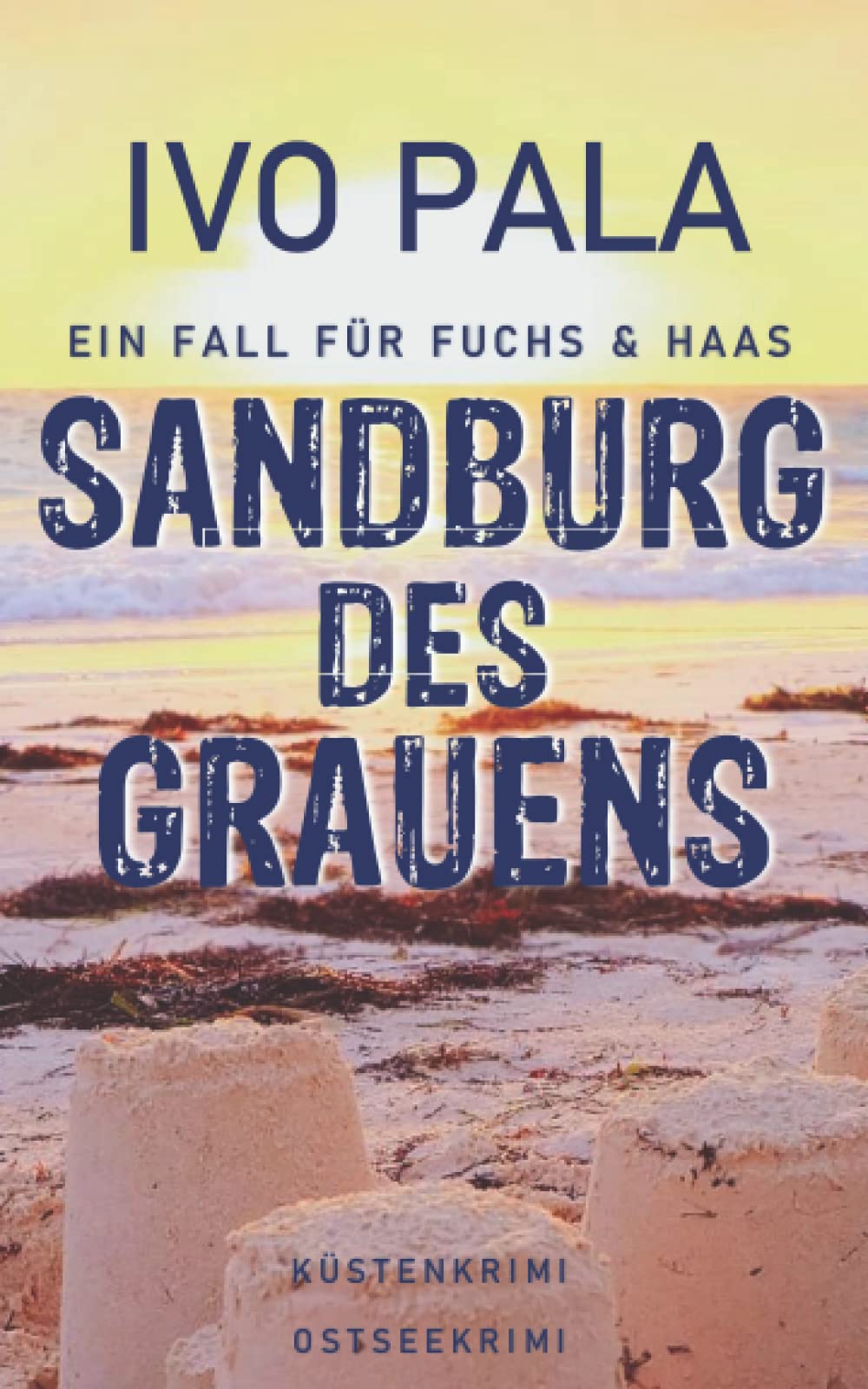 Ein Fall für Fuchs & Haas: Sandburg des Grauens - Küstenkrimi - Ostseekrimi Humour & Satire