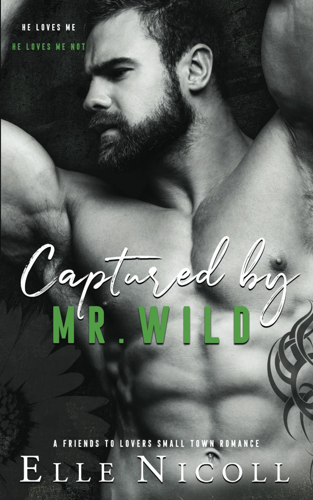 Captured by Mr. Wild (The Men Series - Interconnected Standalone Romances, Band 4) Contemporary literature
