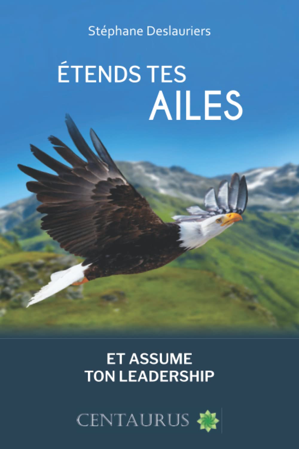 ÉTENDS TES AILES ET ASSUME TON LEADERSHIP book