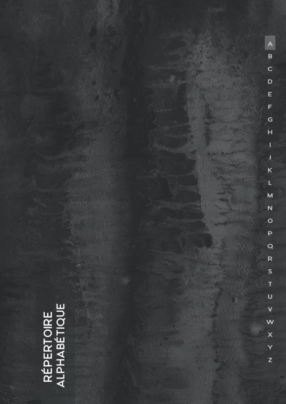 Répertoire Alphabétique: Répertoire Alphabétique A4, " 29.7 x 21 cm ", Carnet de Notes de 156 Pages book