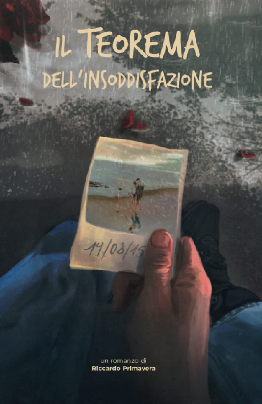 Il teorema dell'insoddisfazione book