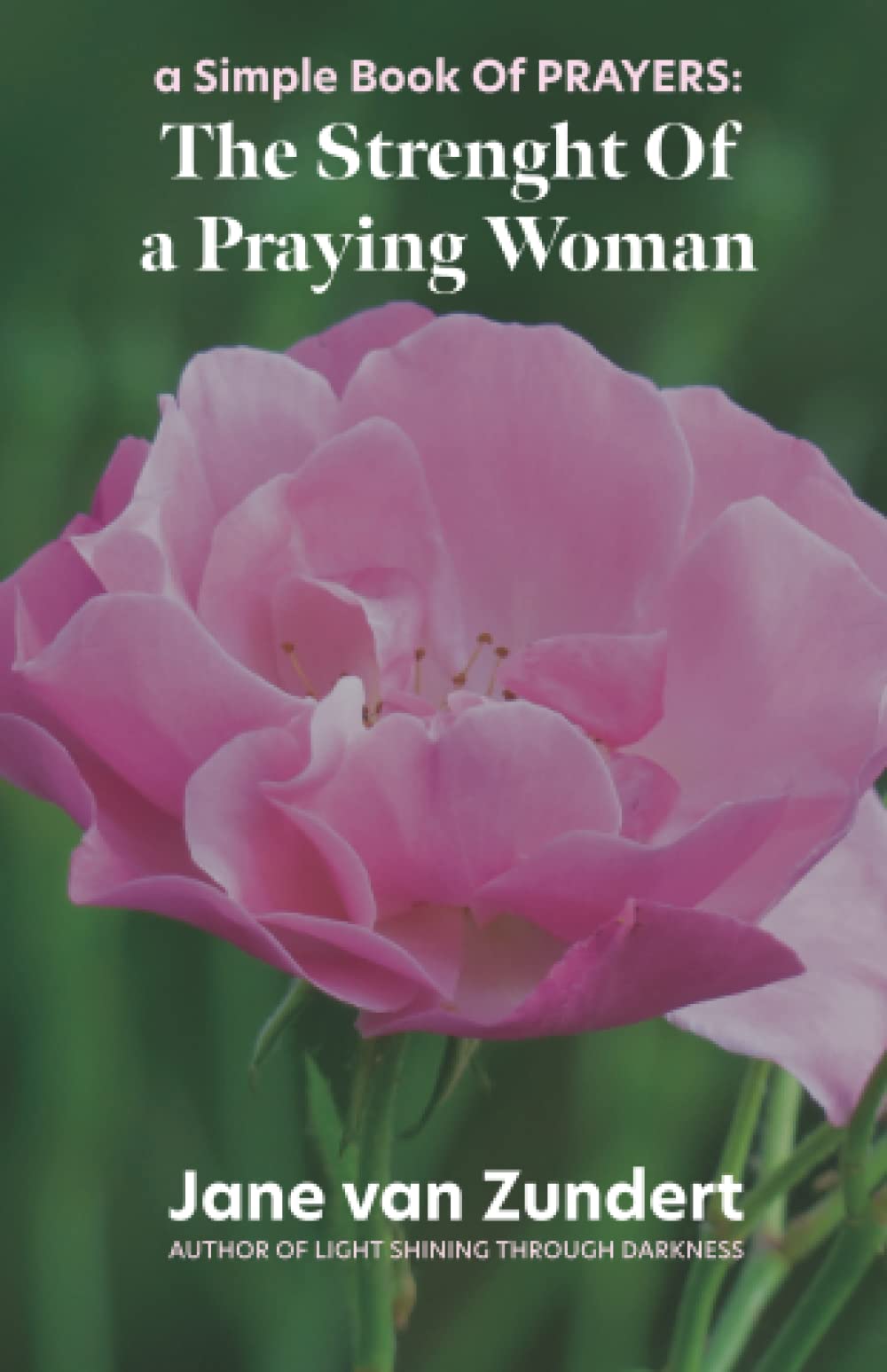 The Strength Of A Praying Woman: A Simple Book Of PRAYERS book