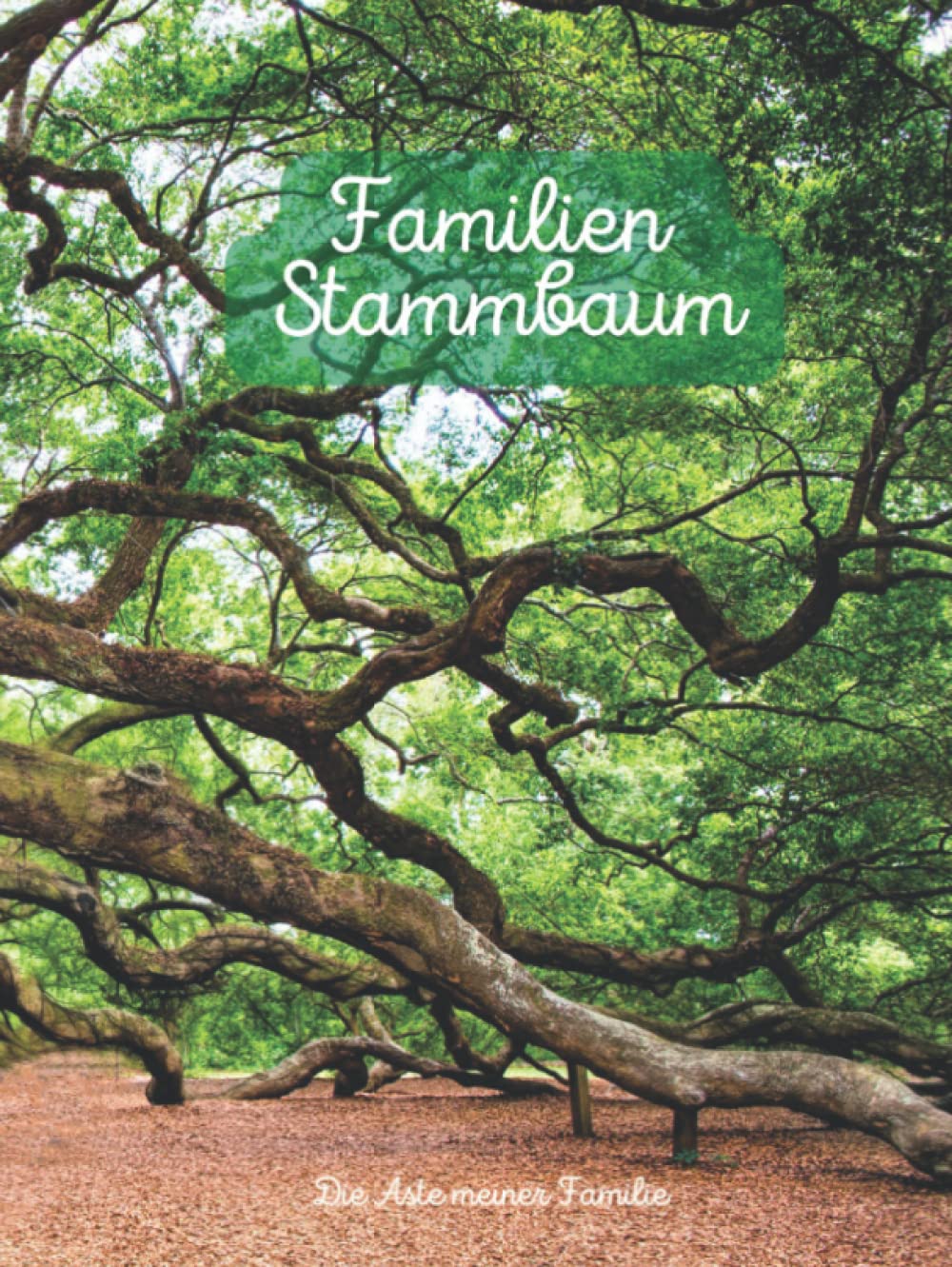 Familien Stammbaum - Die Äste meiner Familie: Möchten Sie Ihren Stammbaum aufzeichnen? Wer Ahnenforschung betreiben will, braucht eine geeignete ... Geschwister und Verwandten zu erfassen. Reference Books