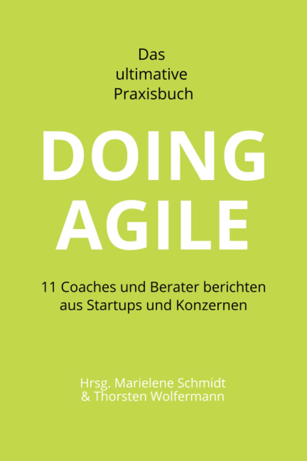 DOING AGILE - Das ultimative Praxisbuch: 11 Coaches und Berater berichten aus Startups und Konzernen Business, Finance & Career
