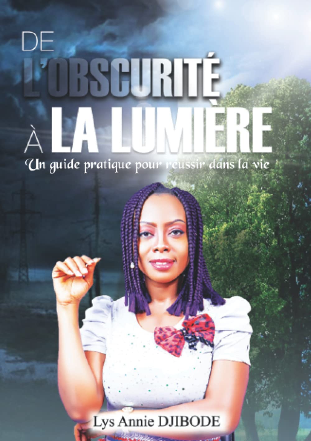 De l'obscurité à la lumière: Un guide pratique pour réussir dans la vie book