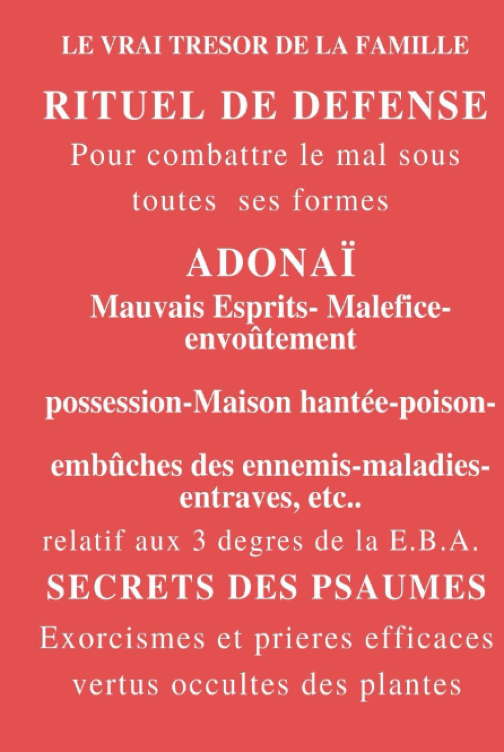 RITUEL DE DÉFENSE: Pour combattre le mal sous toutes ses formes book