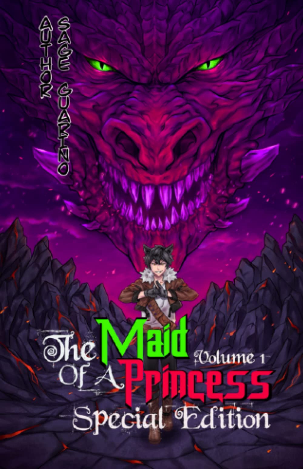 The Maid of a Princess Special Edition: (Light Novel) Volume 1 book