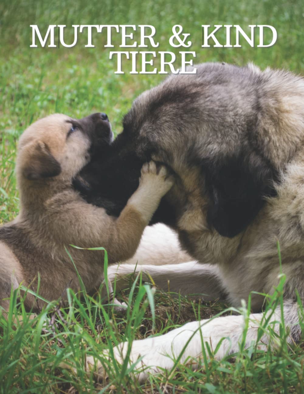 Mutter & Kind Tiere: Fotografie der schönen Mutter und Kind Tiere für Senioren, Parkinson, Demenz Erwachsene mit Alzheimer, und Patienten zu helfen, Gedächtnisverlust. Non-fiction