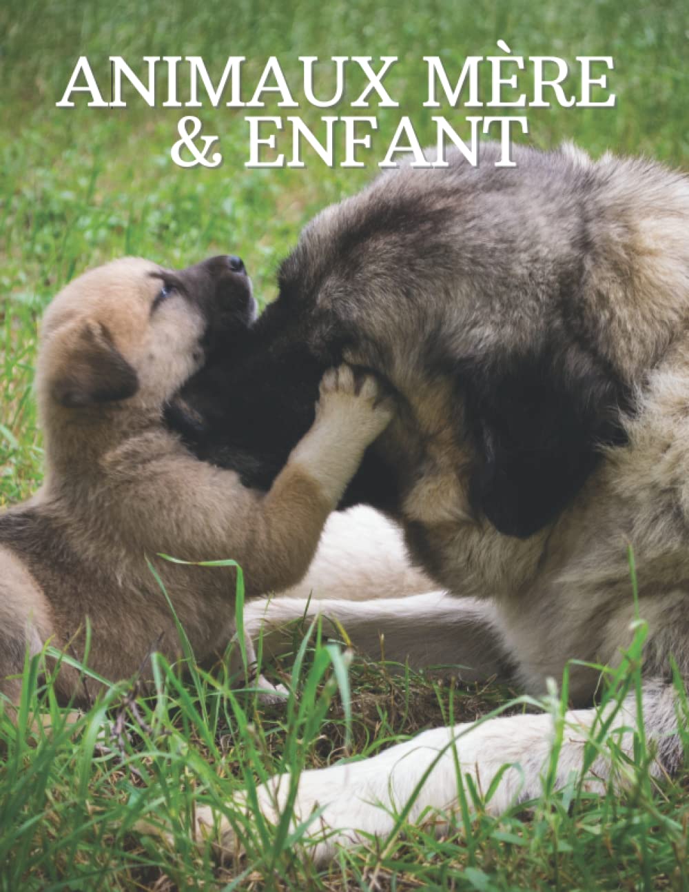 Animaux Mères et Enfant: Le livre d'images de superbes animaux de la mère et de l'enfant pour les personnes âgées, les adultes atteints de démence et les patients pour les aider à perdre la mémoire. book