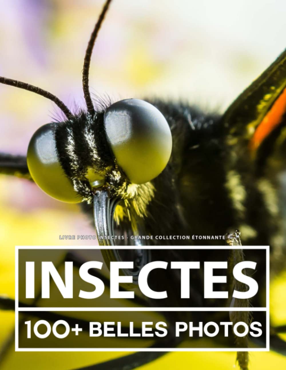 Livre Photo Insectes - Grande Collection Étonnante: 100 Belles Photos Dans Ce Fantastique Livre De Insectes - Pour Enfants Et Adultes Nature & Animals