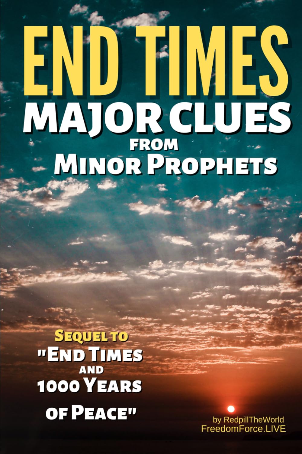 End Times Major Clues from Minor Prophets (Revelation Decode, Band 2) Philosophy