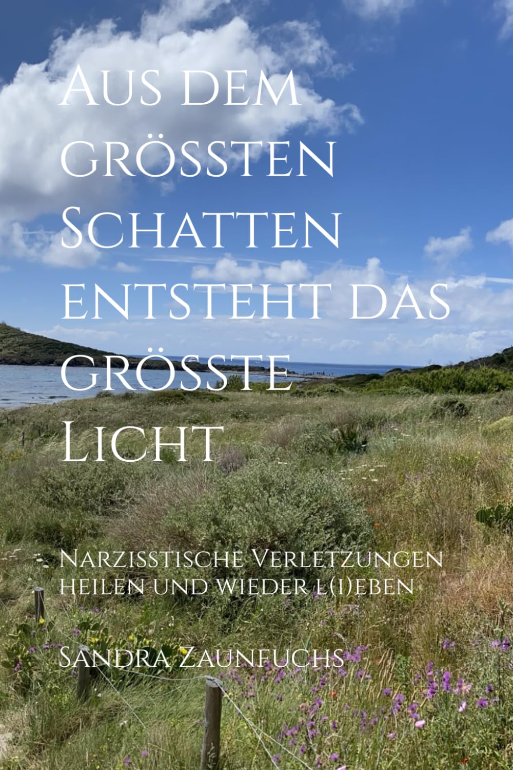 Aus dem größten Schatten entsteht das größte Licht: Narzisstische Verletzungen heilen und wieder l(i)eben (Sonnenkind-Reihe, Band 2) Psychology