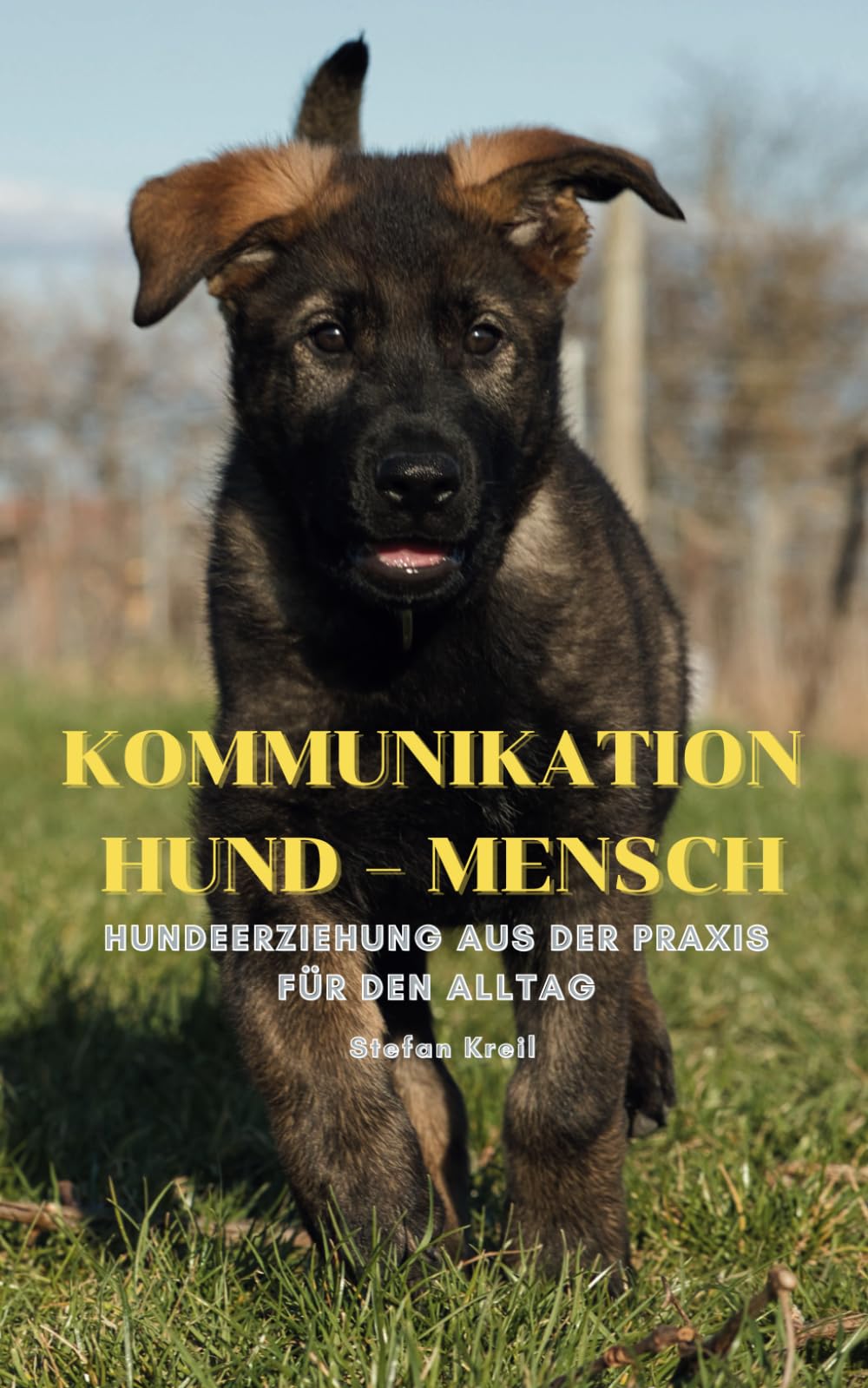 Kommunikation Hund - Mensch: Hundeerziehung aus der Praxis für den Alltag Pets