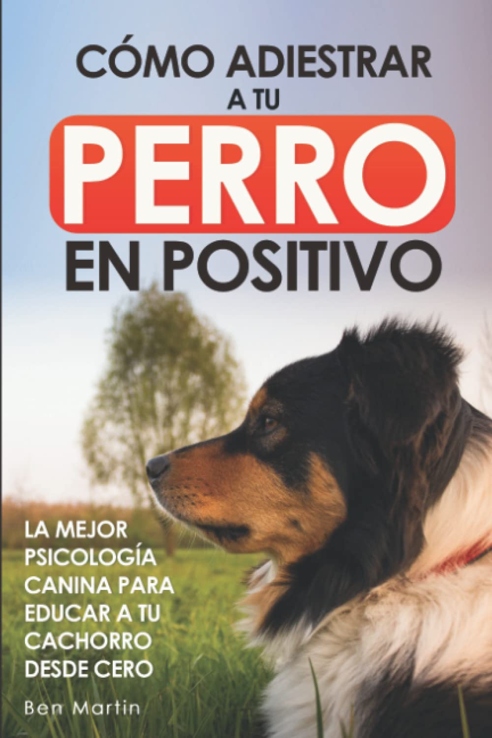 Cómo Adiestrar a tu Perro en Positivo: La Mejor Psicología Canina para Educar a tu Cachorro desde Cero: Guía Completa de Técnicas de Adiestramiento y Condicionamiento Canino Pets