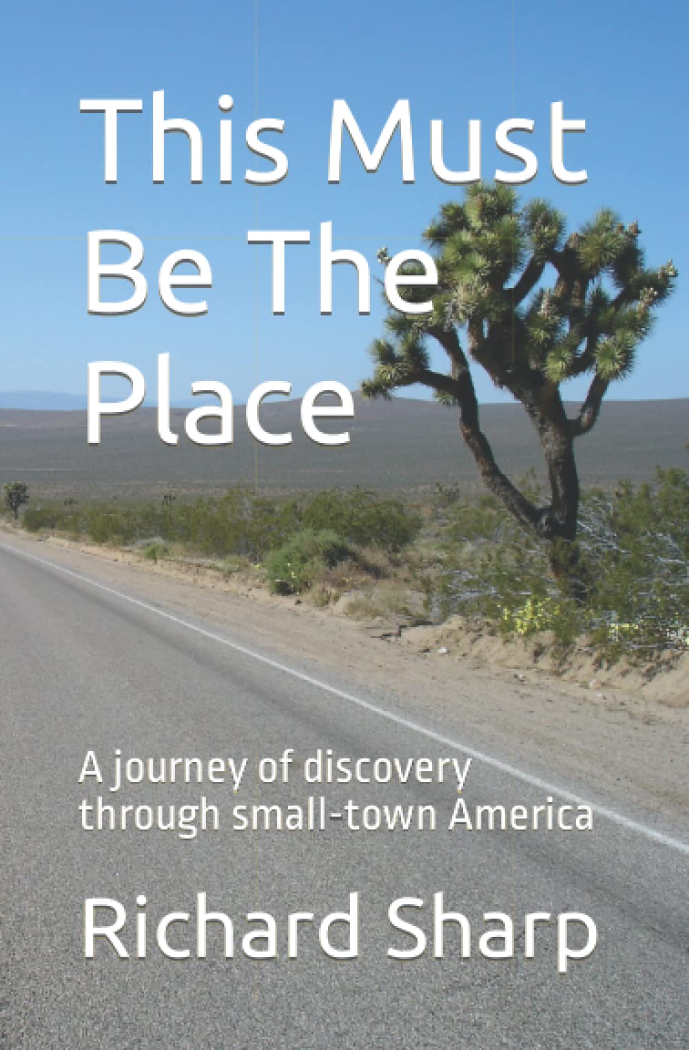 This Must Be The Place: A journey of discovery through small-town America book