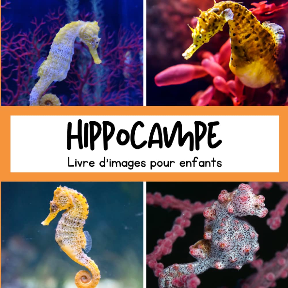 Livre d'images pour enfants - Hippocampe: Découvrir les Hippocampes en image - Enfants de 2 à 5 ans Non-fiction