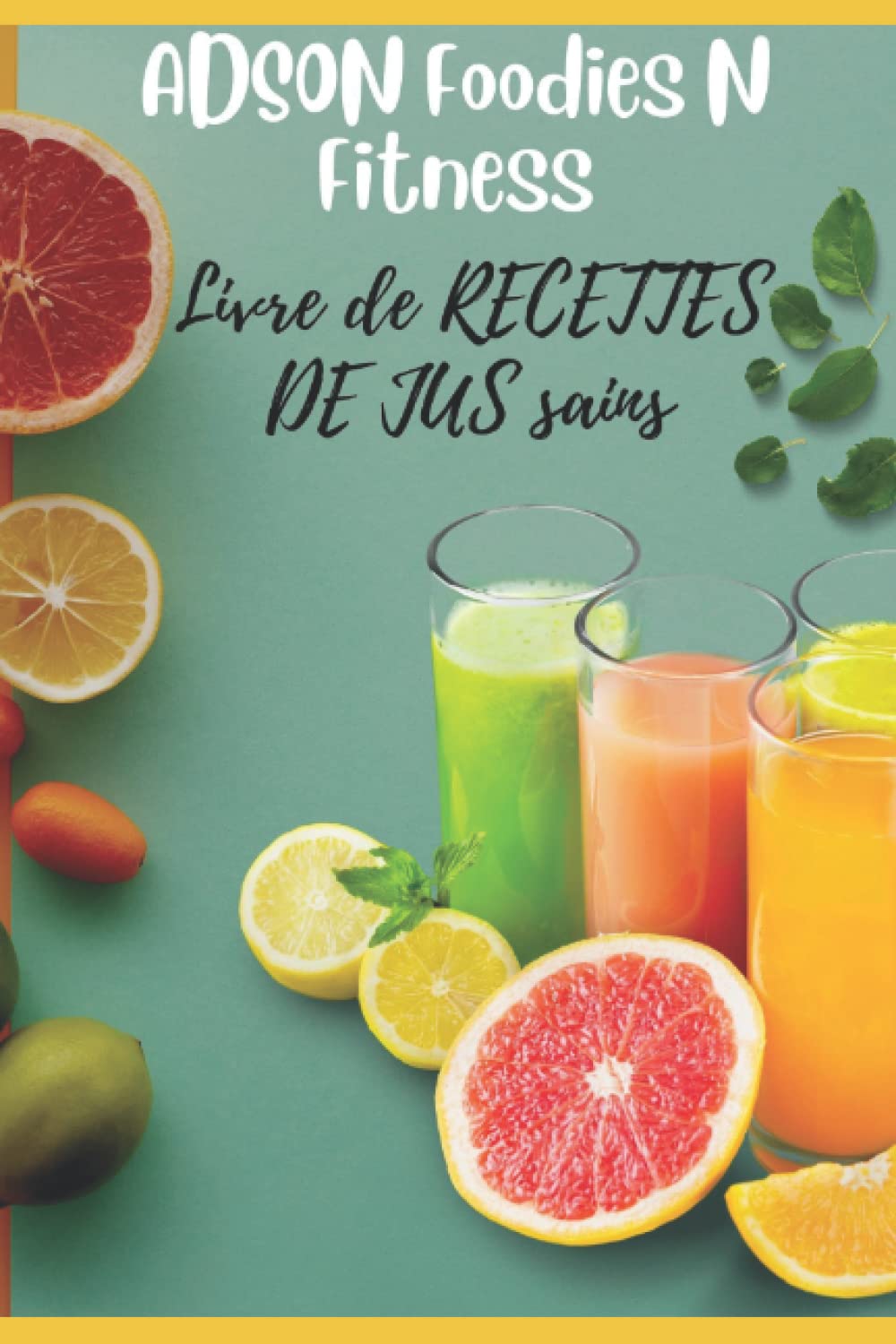 Livre De RECETTES De Jus Sains book
