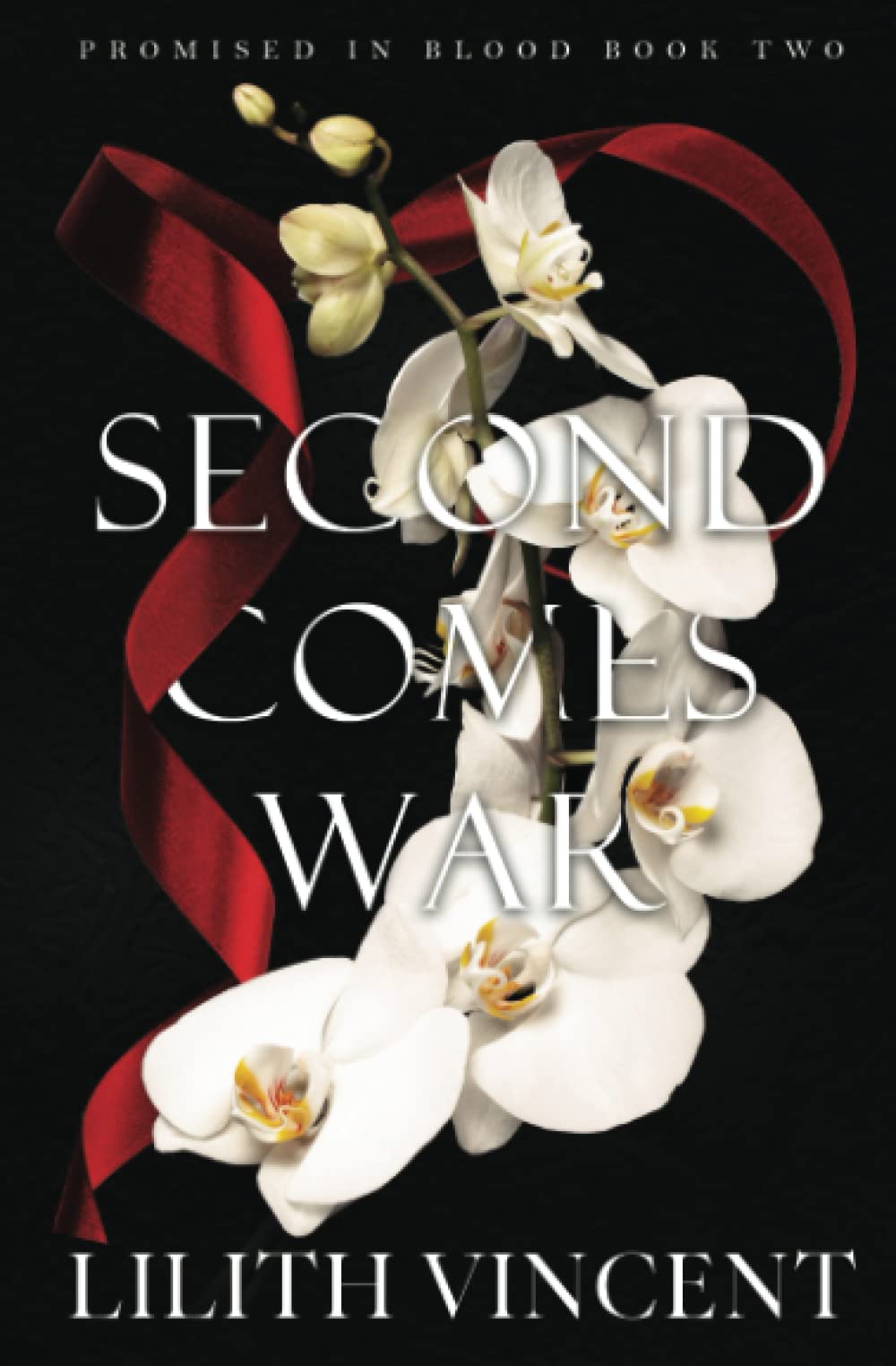 Second Comes War: A Mafia Reverse Harem Romance (Promised in Blood Special Edition, Band 2) Contemporary literature