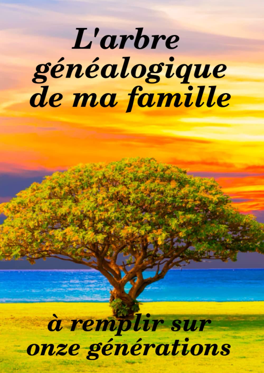L'arbre généalogique de ma famille: à remplir sur 11 générations book