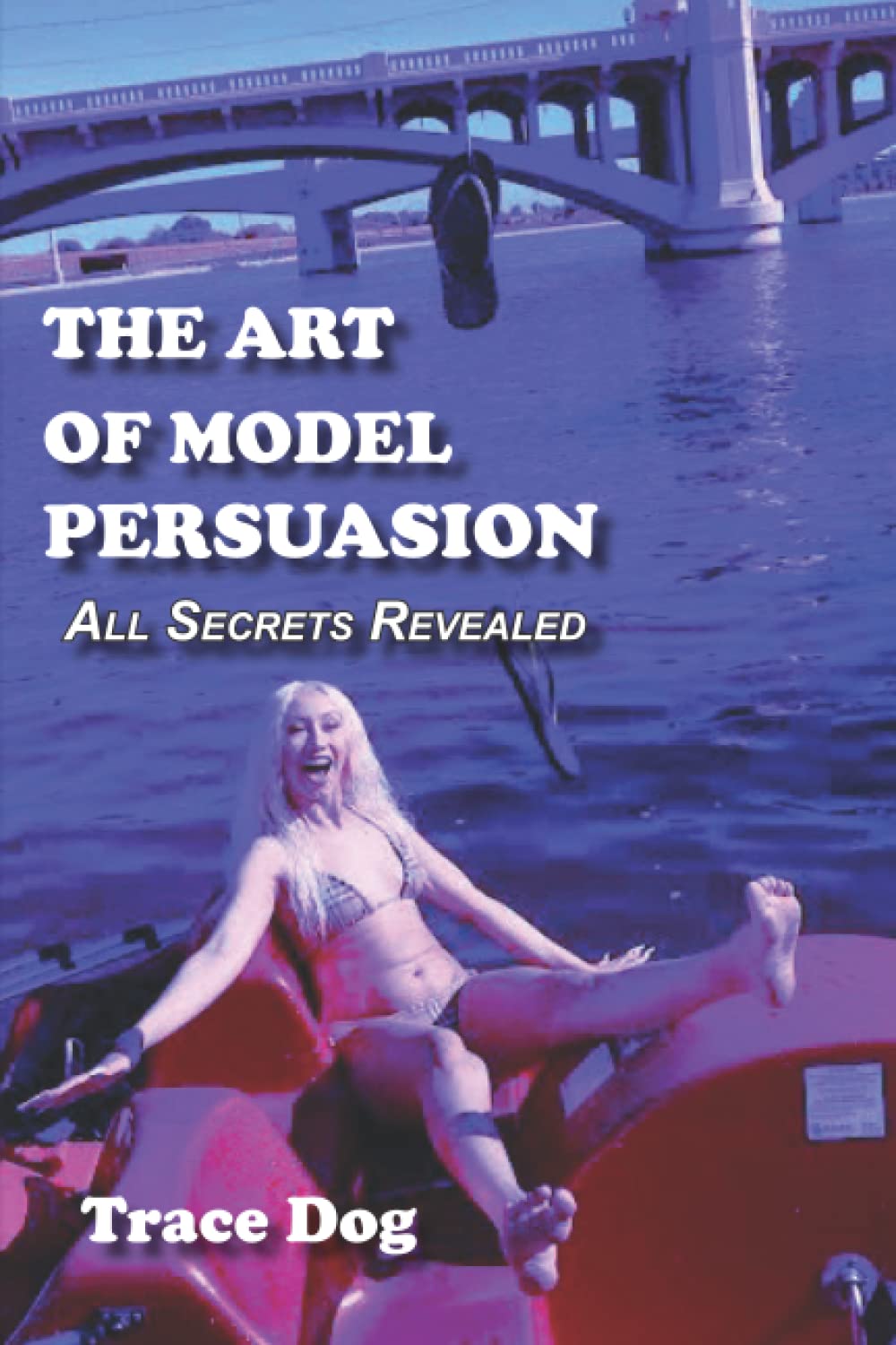 The Art of Model Persuasion: All Secrets Revealed Leisure, Home & Garden