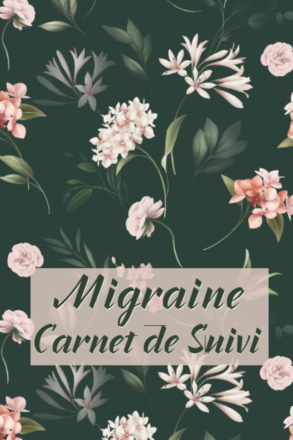 Carnet de Suivi Migraine: Cahier à remplir pour l'évaluation et le suivi des céphalées chroniques book