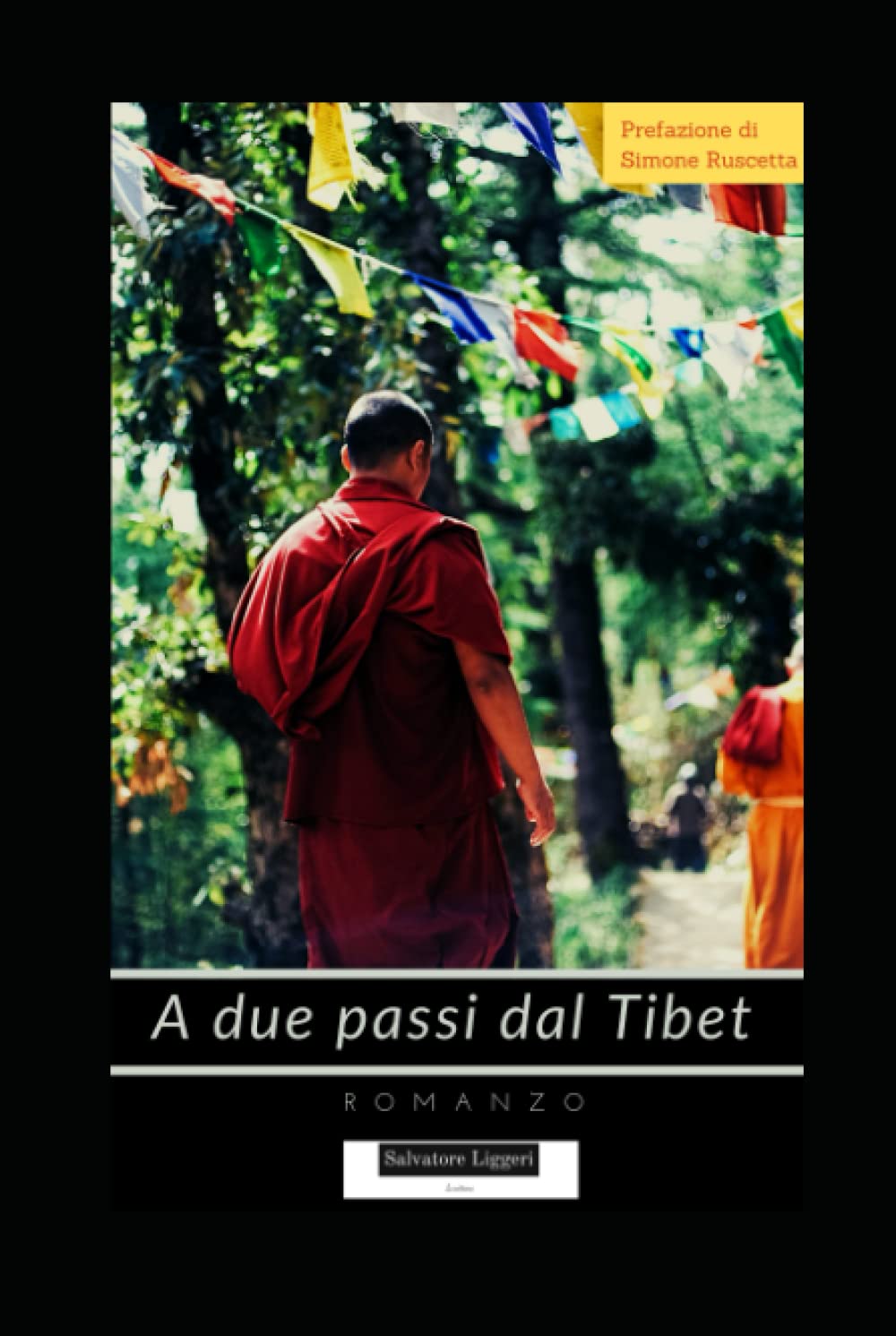 A due passi dal Tibet: 30 giorni con i monaci tibetani book