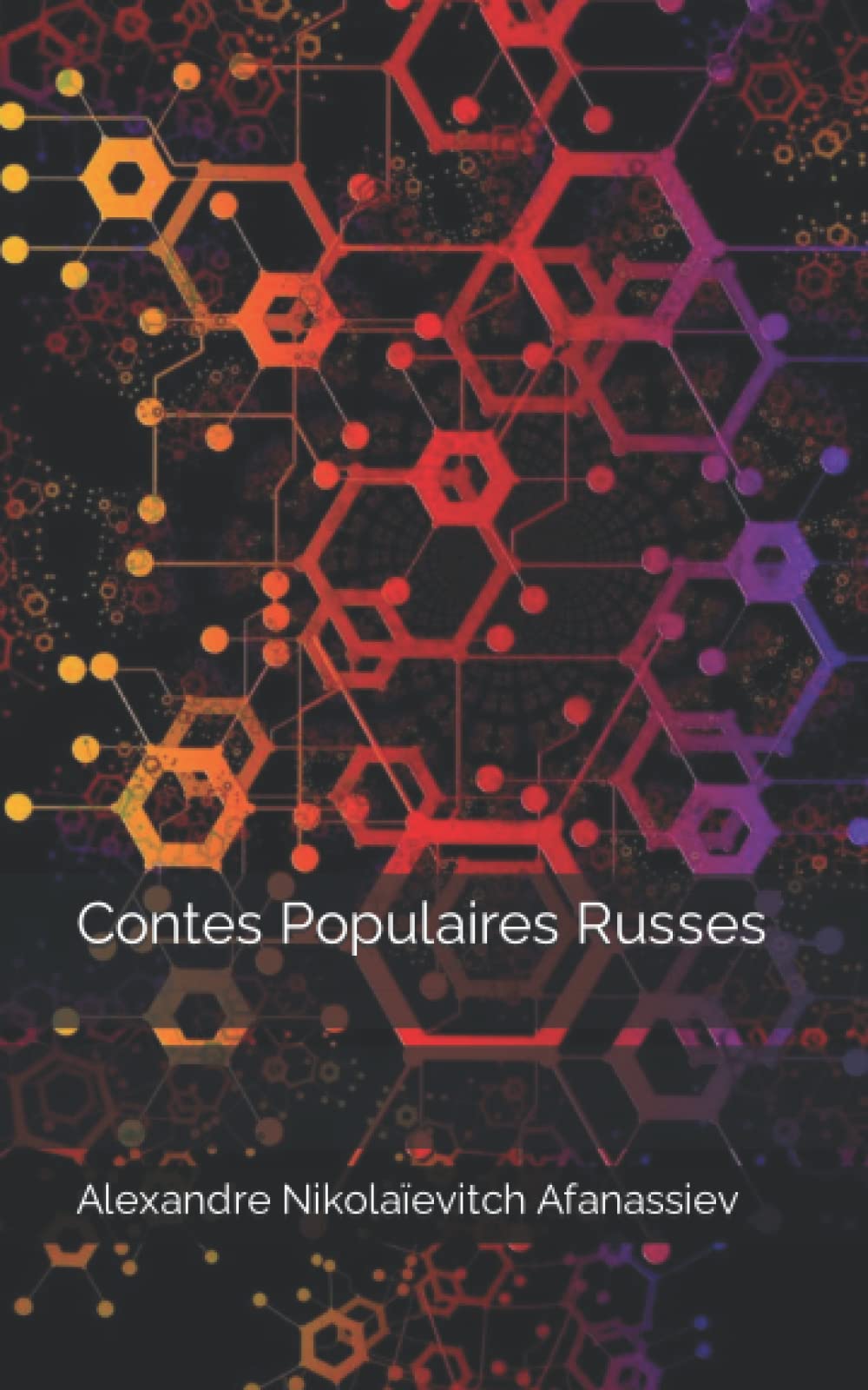 Contes Populaires Russes book