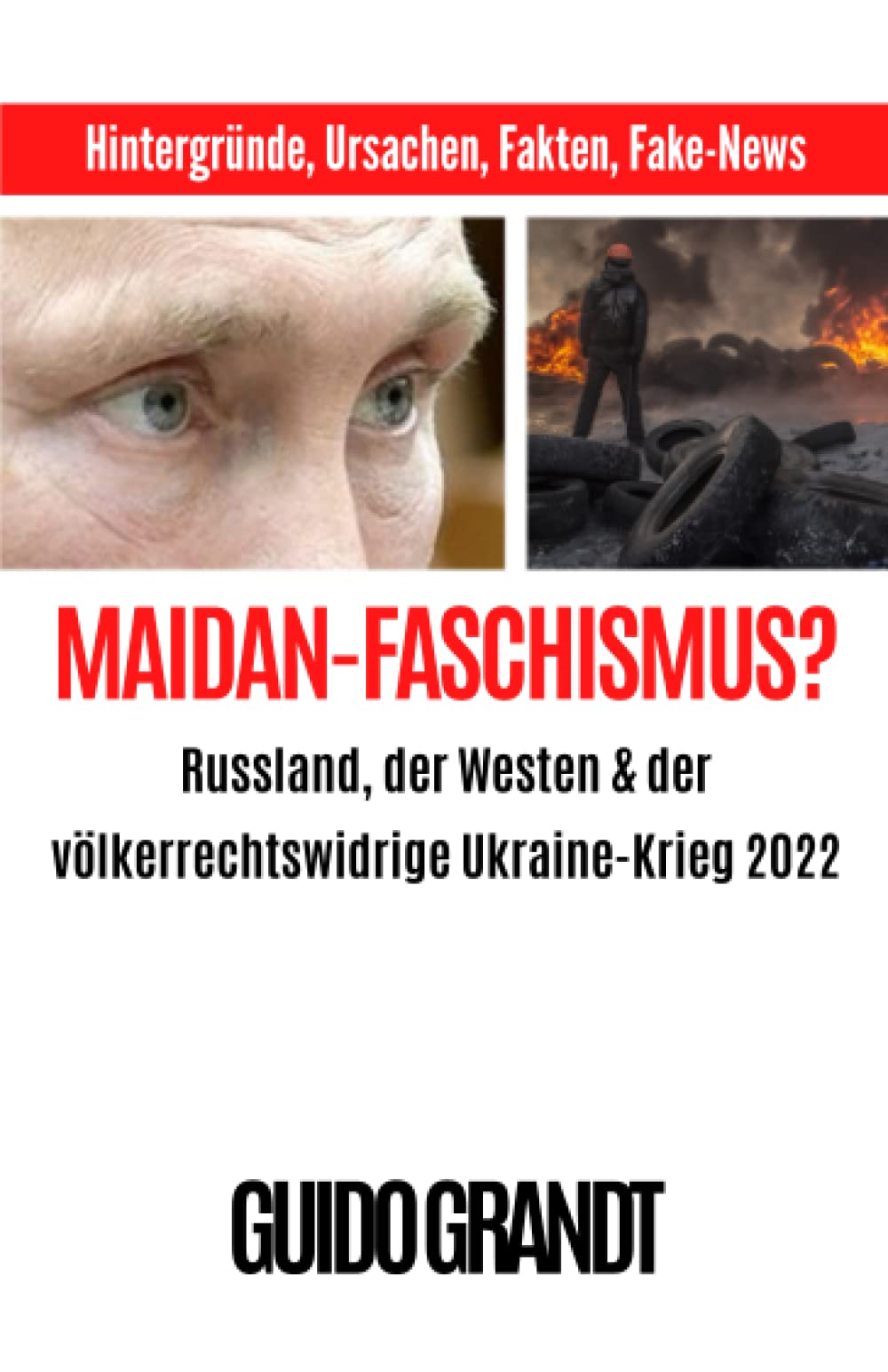 Maidan-Faschismus?: Russland, der Westen & der völkerrechtswidrige Ukraine-Krieg 2022 book