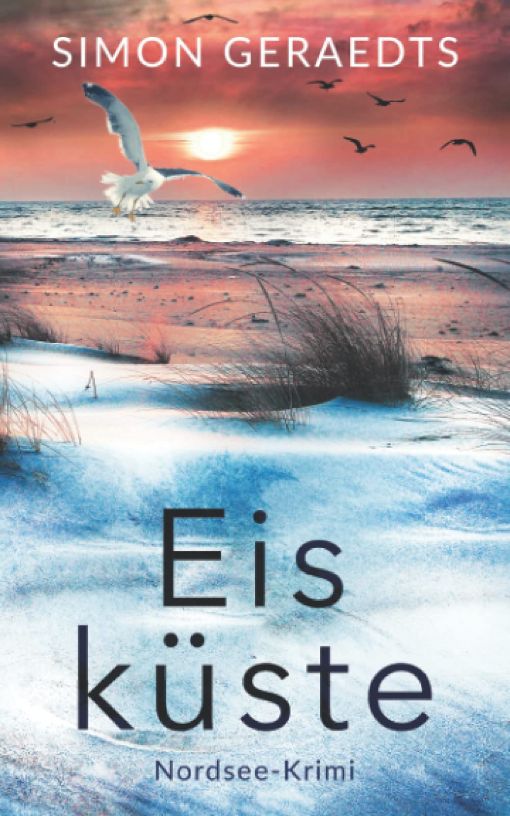 Eisküste (Sophie Jensen ermittelt, Band 2) Detective & CSI