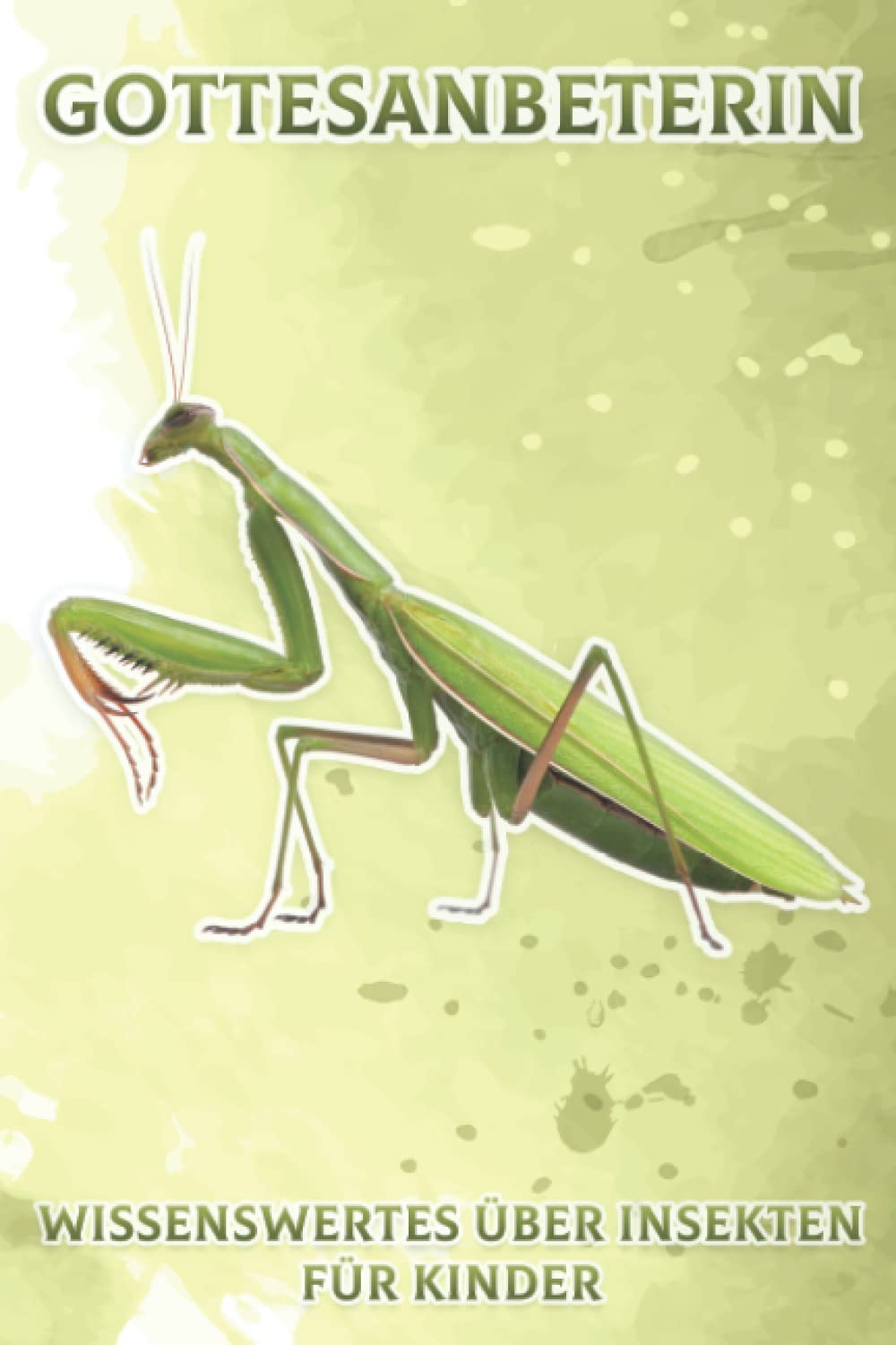 Gottesanbeterin: Wissenswertes über Insekten für Kinder #2 Mathematics
