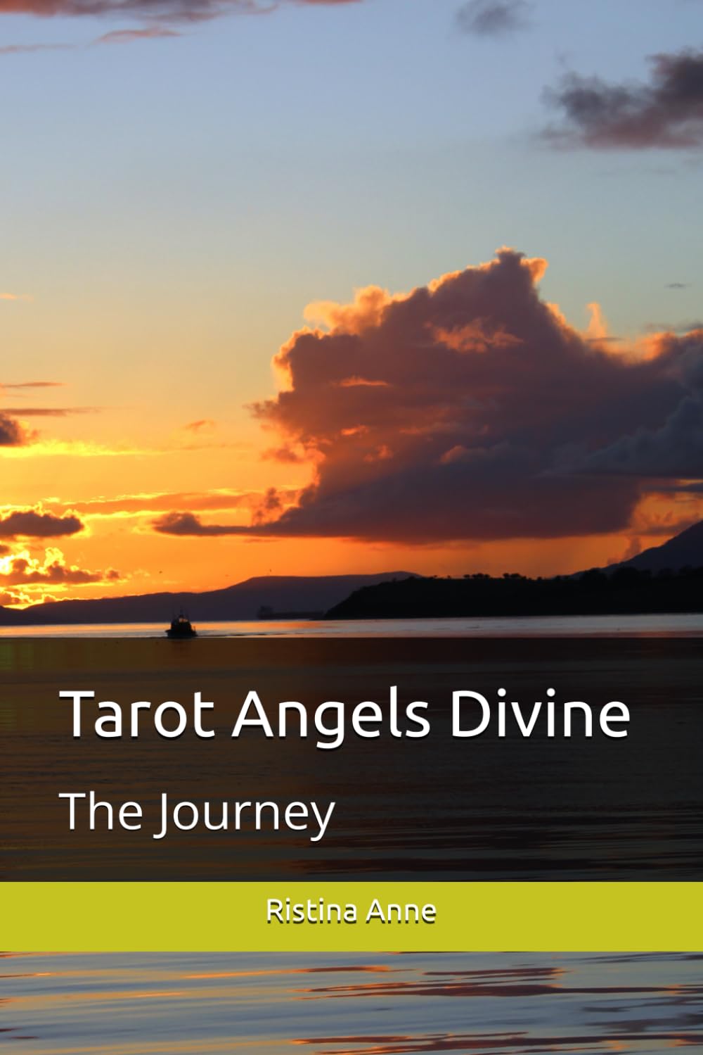 Tarot Angels Divine: The Journey book