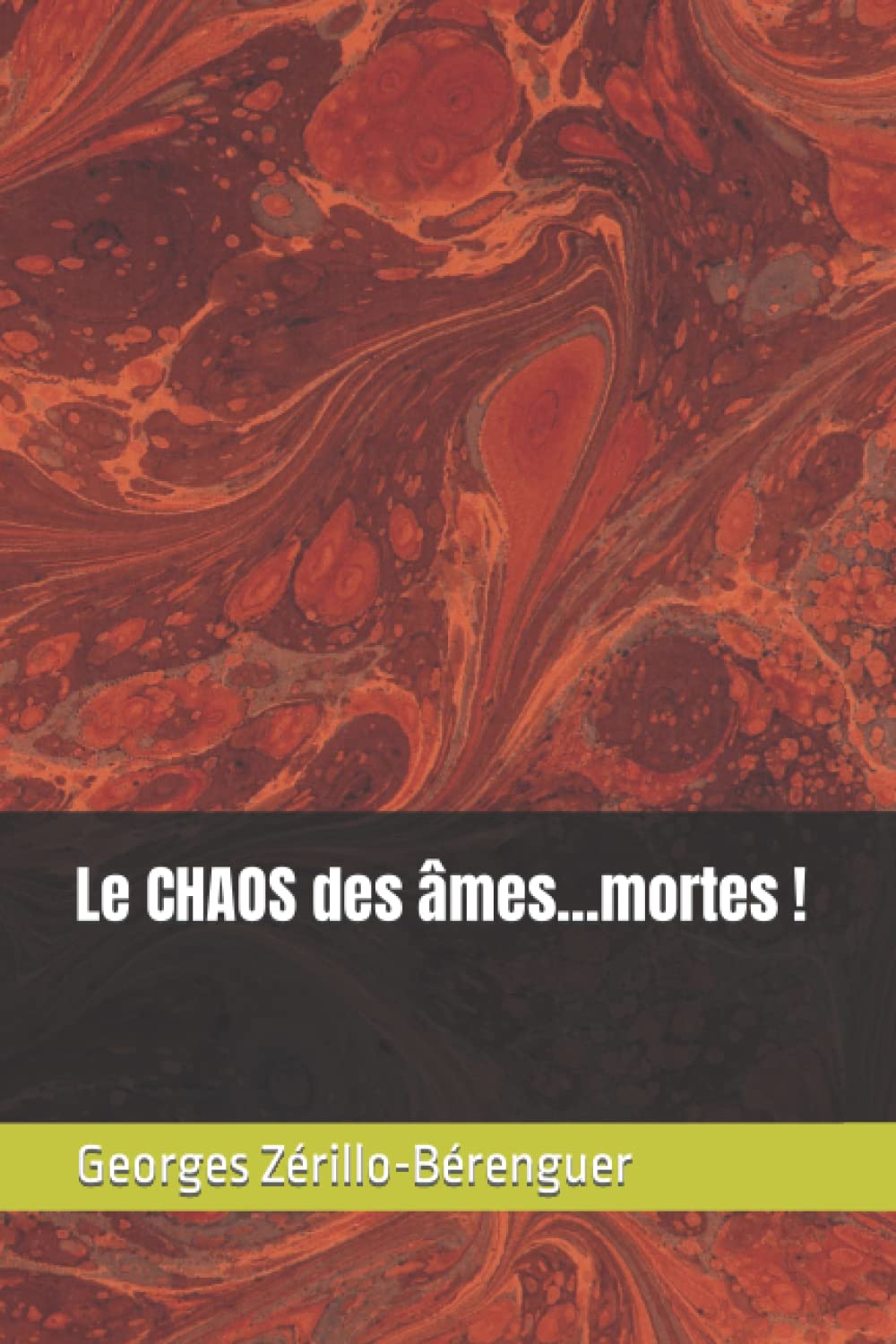 Le CHAOS des âmes...mortes ! (Oeuvre Littéraire !, Band 2) Contemporary literature