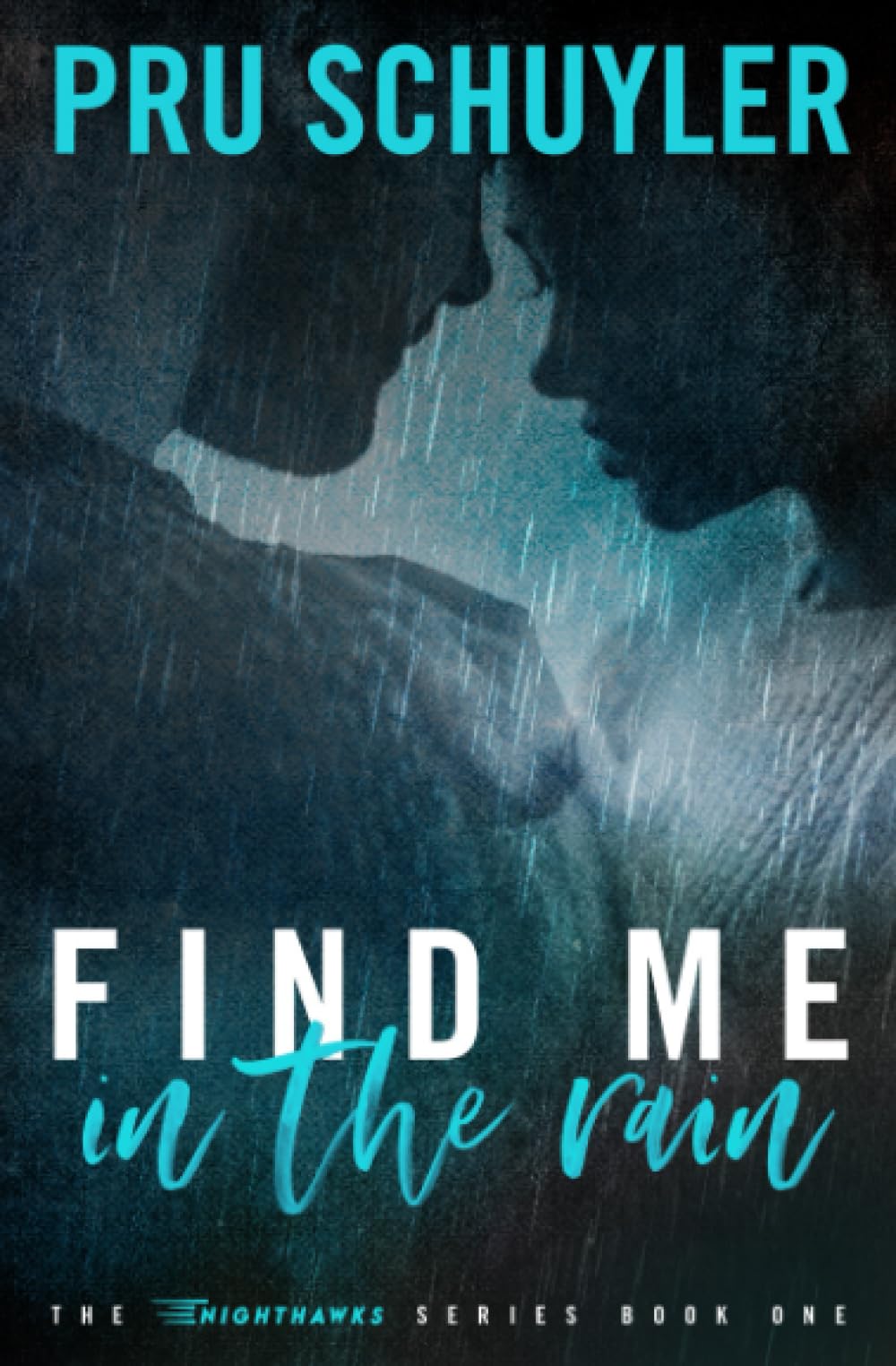 Find Me in the Rain book