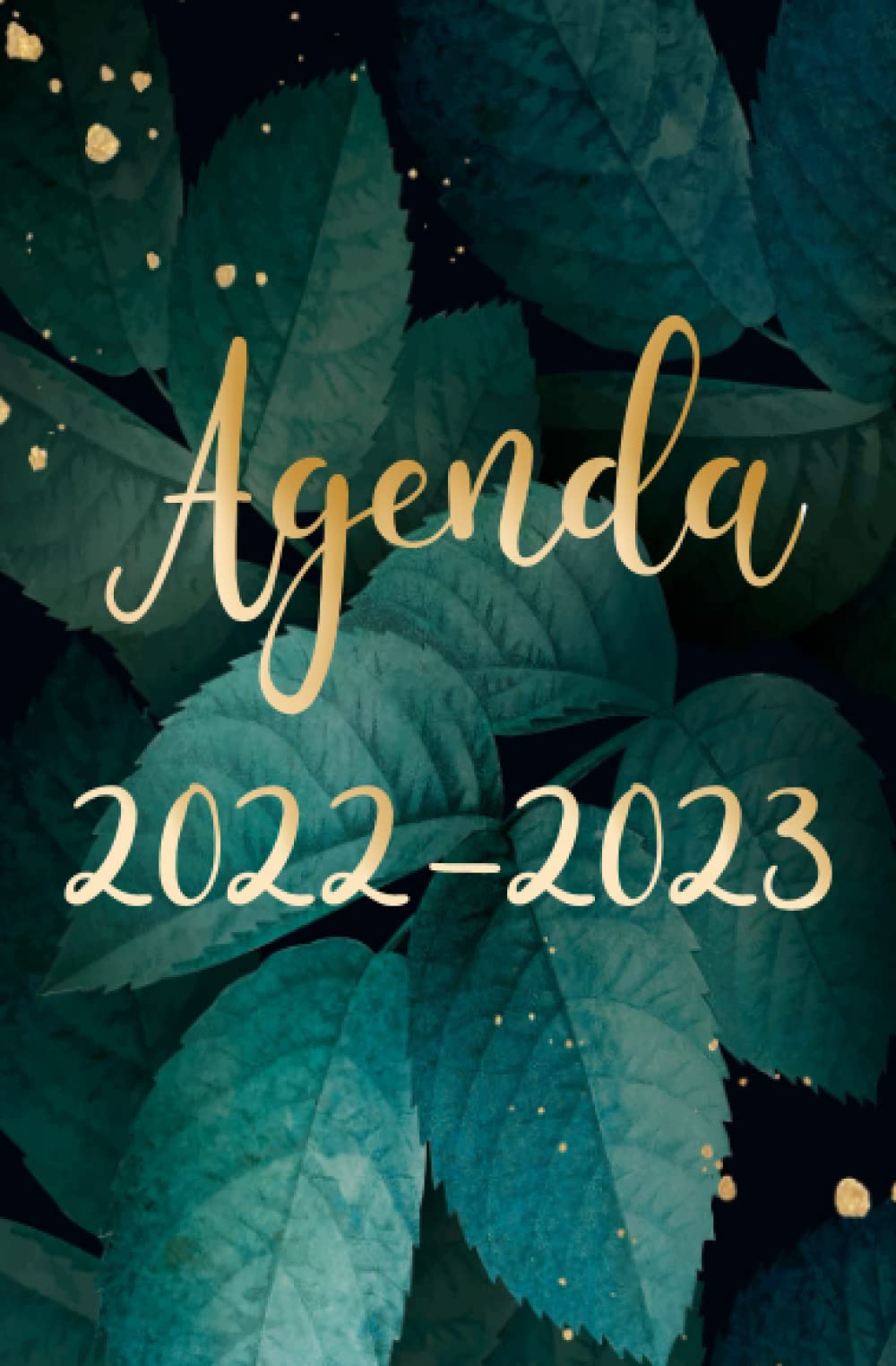 Agenda 2022-2023: planificateur Scolaire journalier ,un jour par page -tropicale- format A5 / calendrier étudiants, cahier de texte pour enfant et ado ... et garçon,pour le primaire collège et lycée book