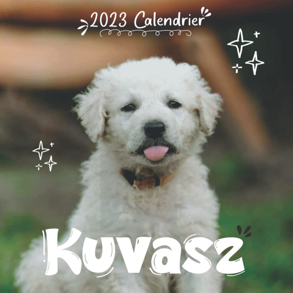 Kuvasz Calendrier: Calendrier 2023 - 8.5''x8.5'' - Cadeaux pour la famille et les amis book