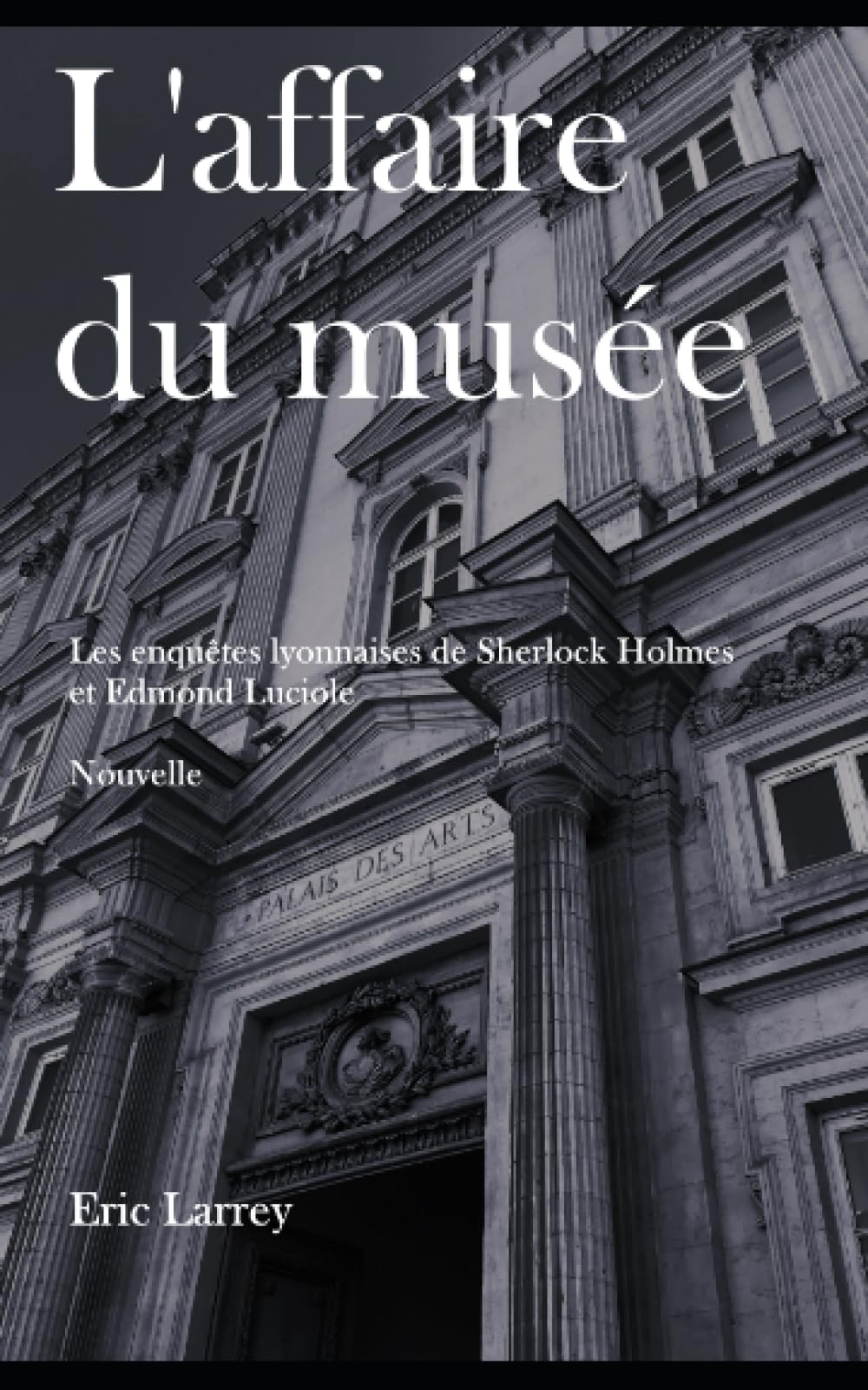 L'affaire du Musée: Les enquêtes Lyonnaises de Sherlock Holmes et Edmond Luciole - Nouvelles #1 book