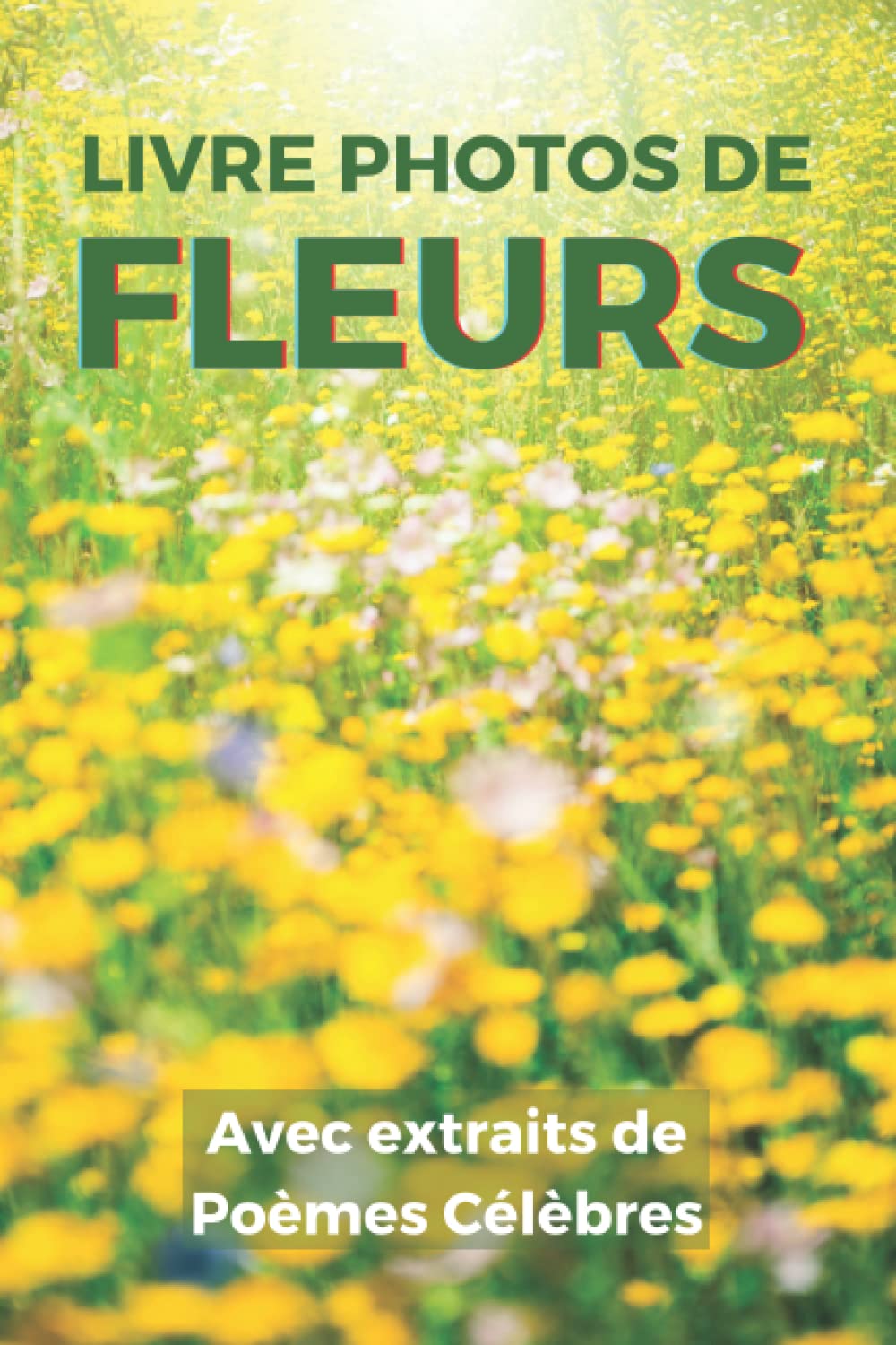 Livre Photos de Fleurs avec Extraits de Poèmes Célèbres: Cadeau pour Personnes Alzheimer ou Seniors atteints de Démence - 35 images splendides de ... pour coller des photos Souvenir personnelles book