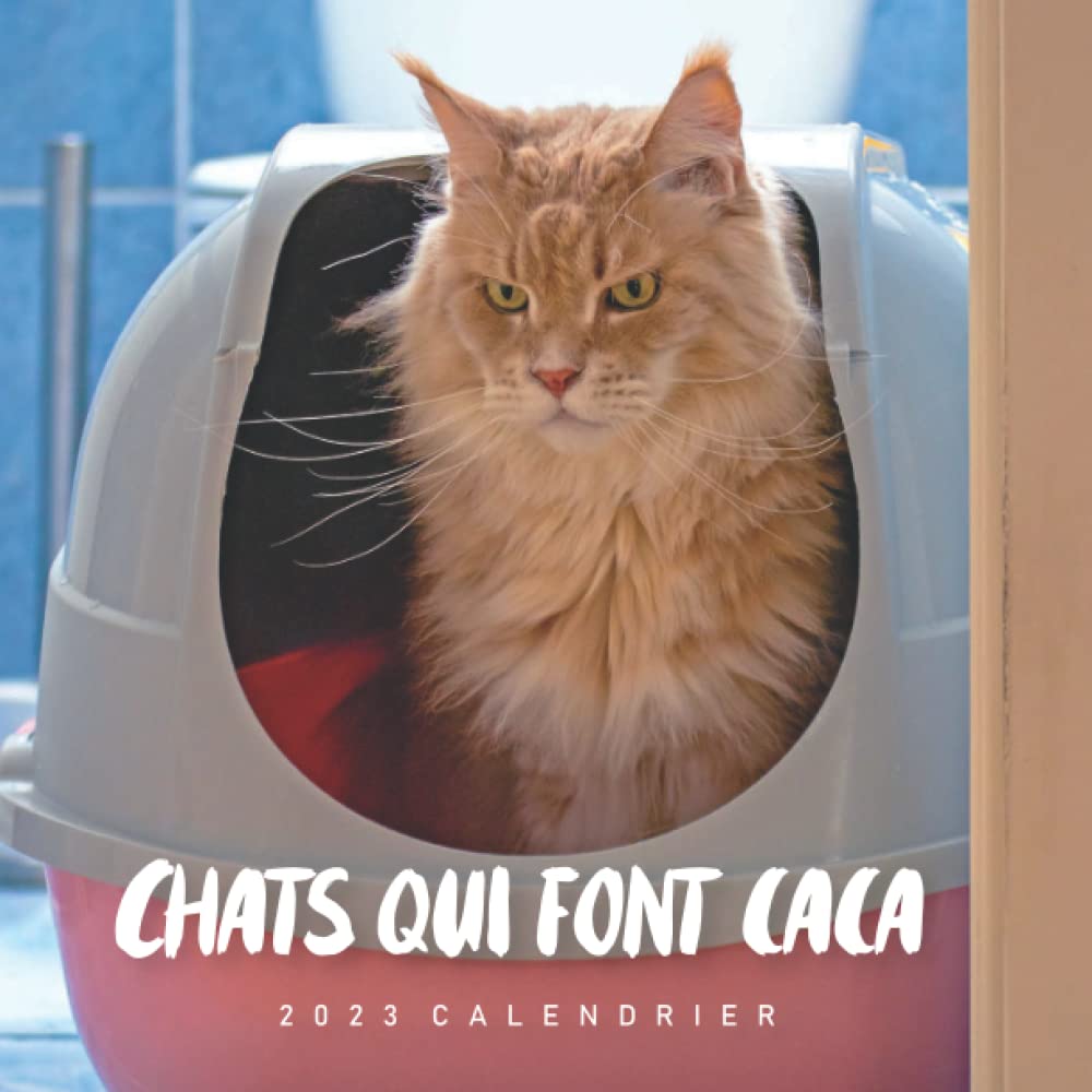 Chats qui font caca Calendrier: Calendrier 2023 - 8.5''x8.5'' - Cadeaux pour la famille et les amis Film, Art & Culture